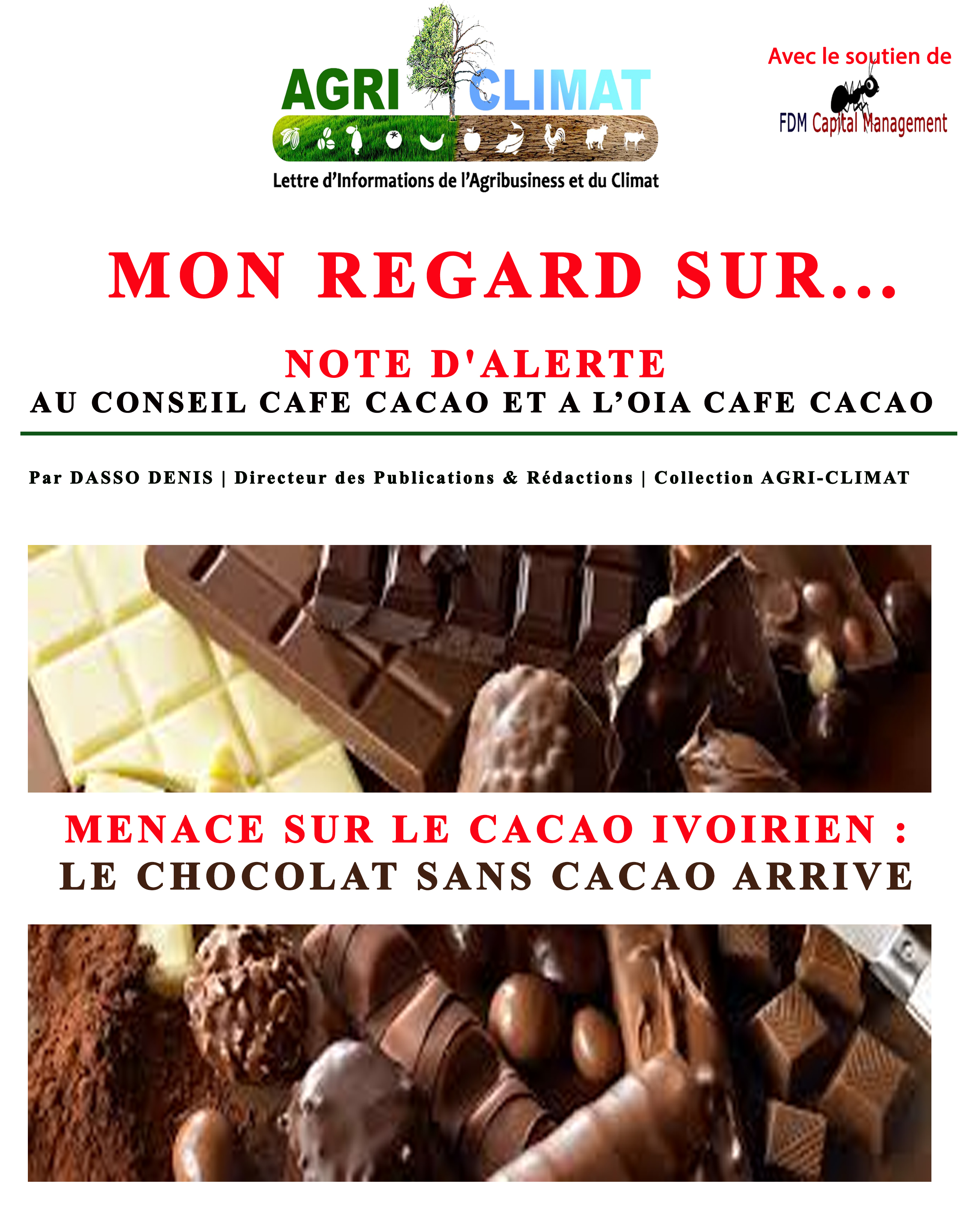 Chocolat sans cacao